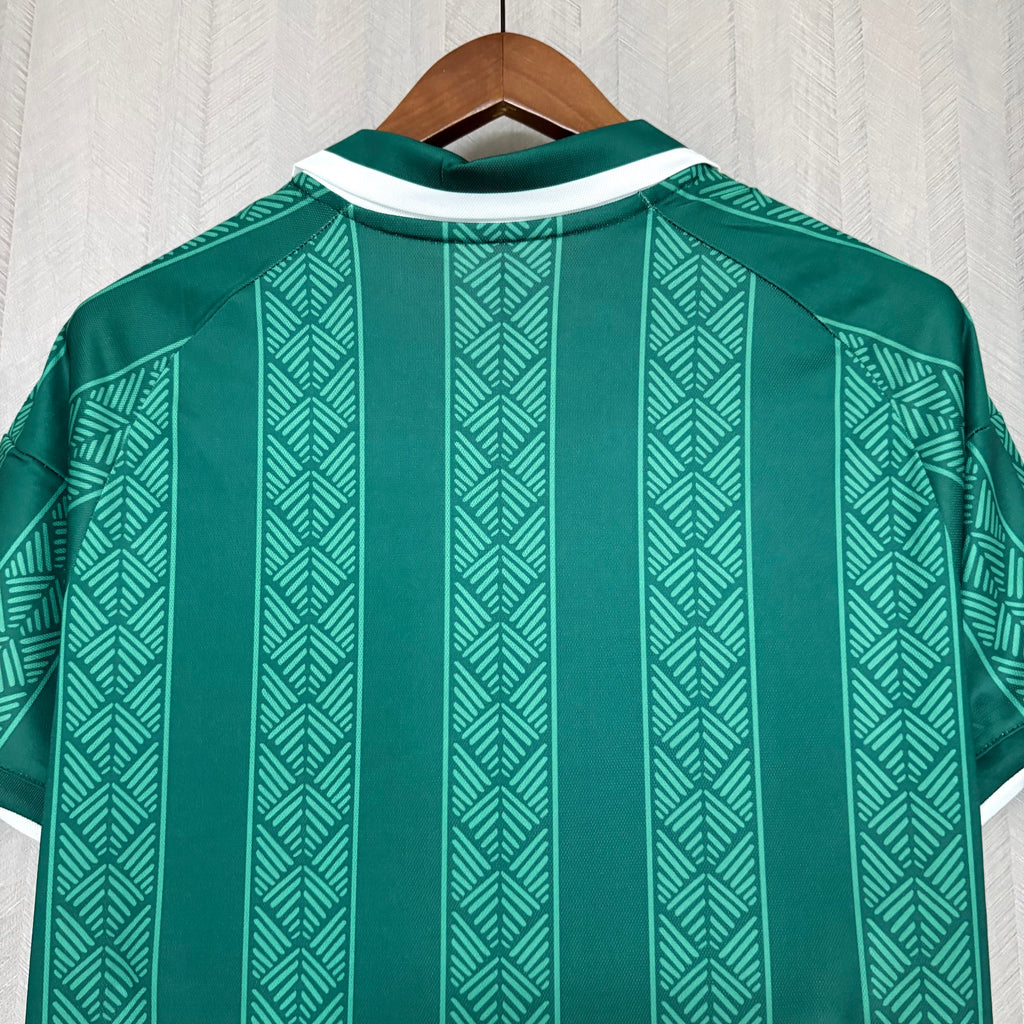 Camiseta Sudáfrica Mundial 2026 - Segunda Equipación