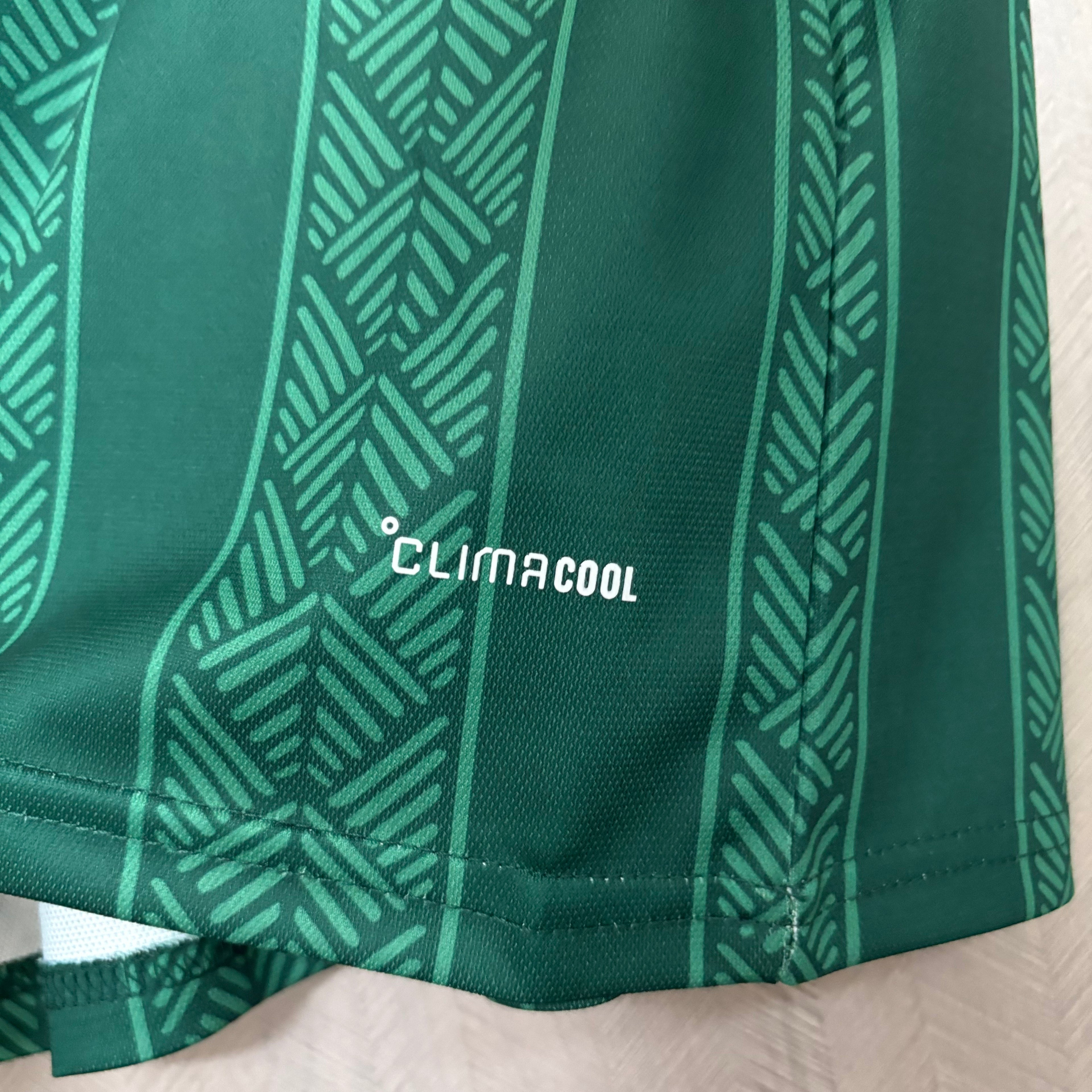 Camiseta Sudáfrica Mundial 2026 - Segunda Equipación
