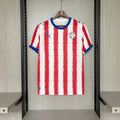Camiseta Paraguay Mundial 2026 - Primera Equipación