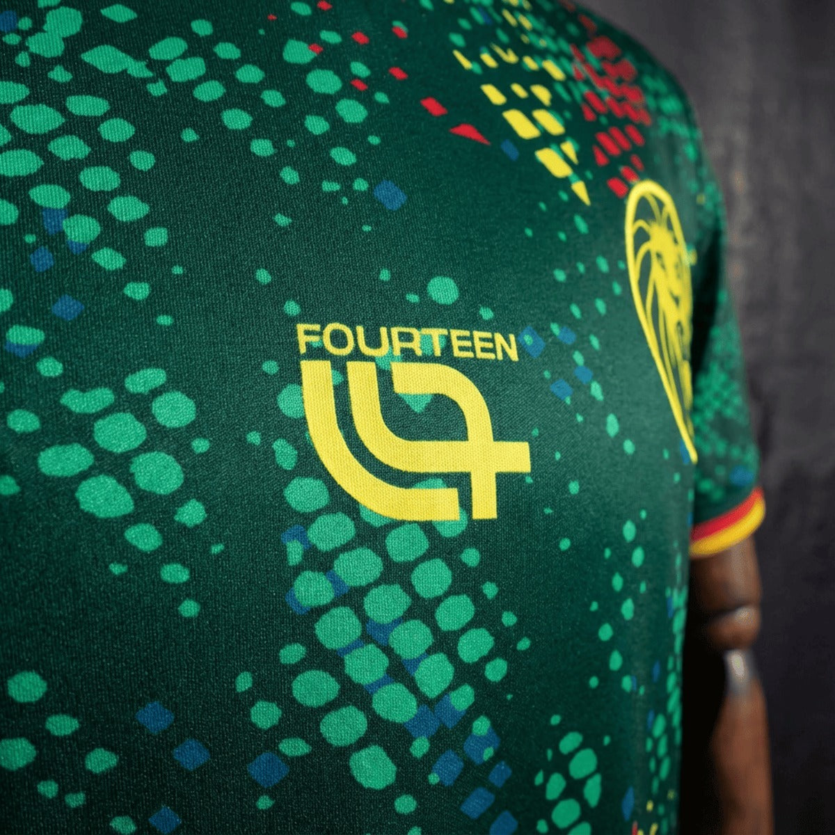 Camiseta Camerún Mundial 2026 - Primera Equipación