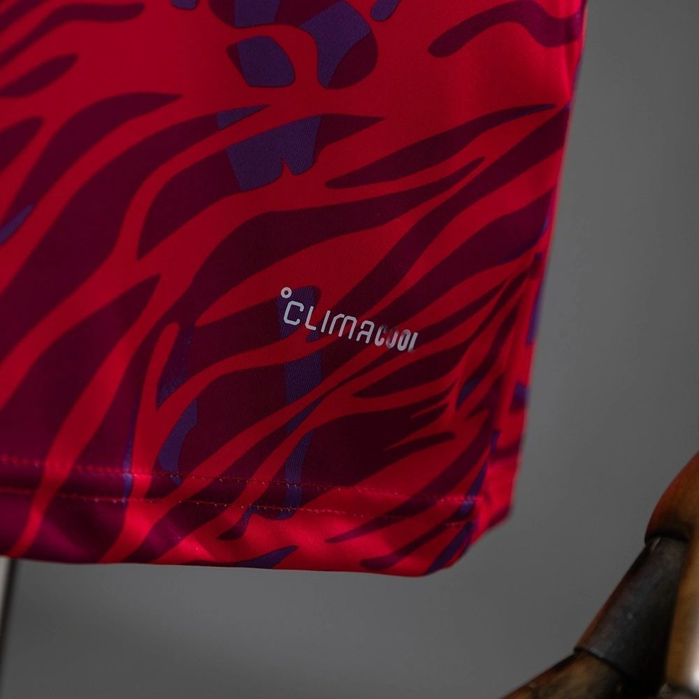 Camiseta Costa Rica Mundial 2026 - Primera Equipación
