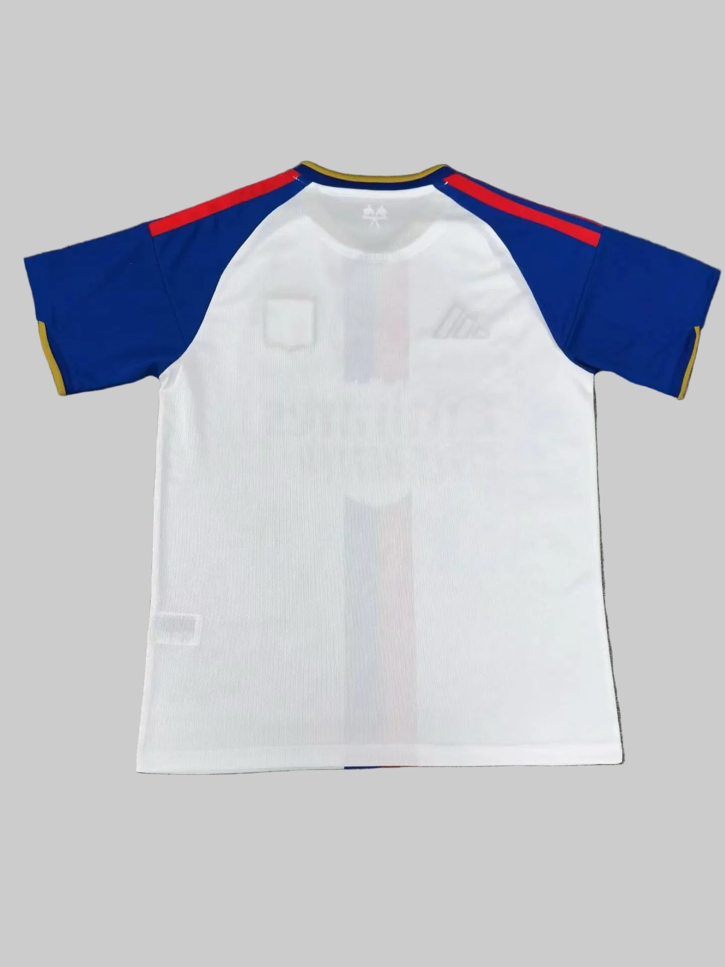 Camiseta Olympique Lyonnais 26/27 - Primera Equipación
